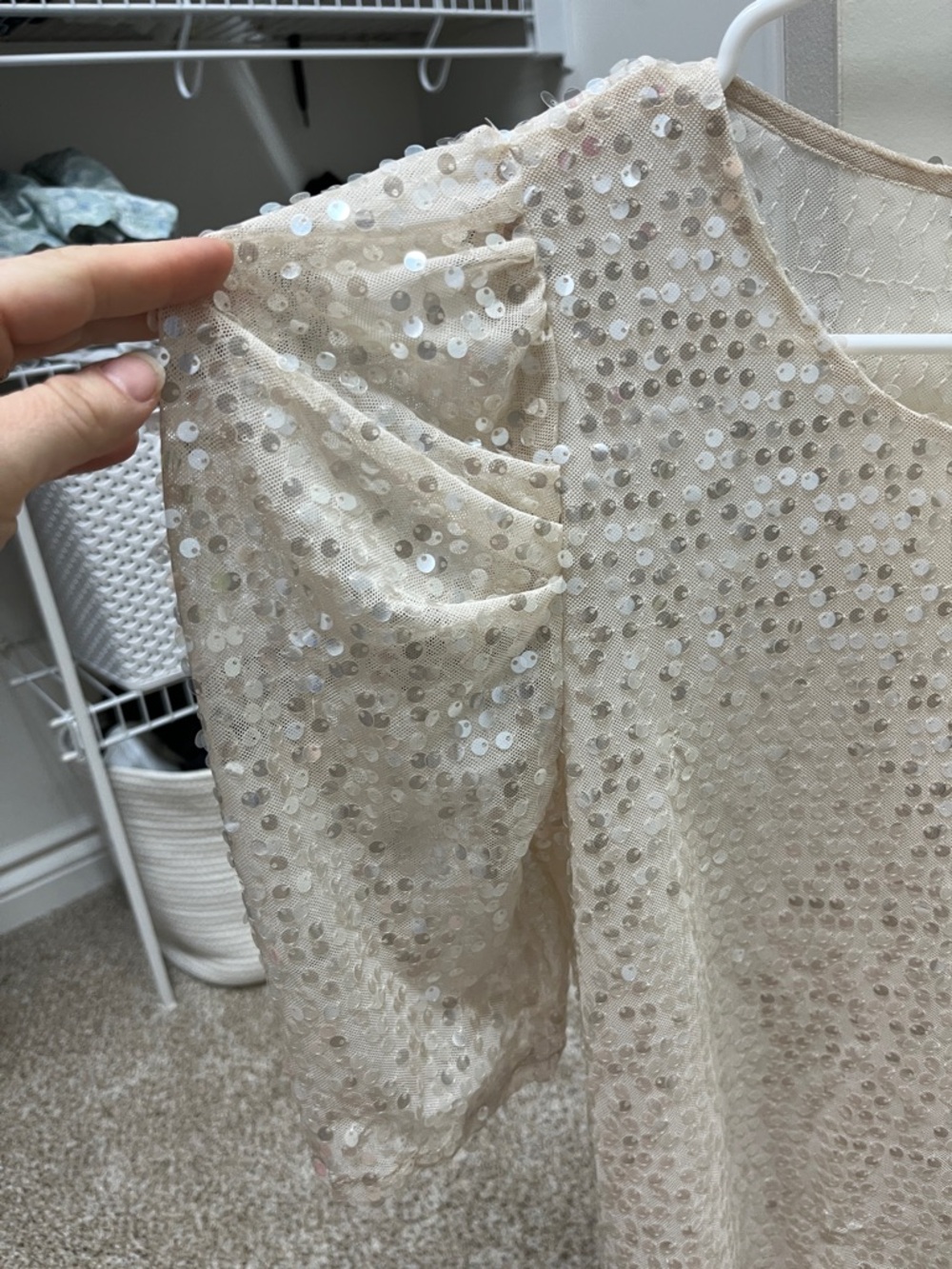 ZARA Cream Sequin Mesh Shell Top - Picture 5 of 7